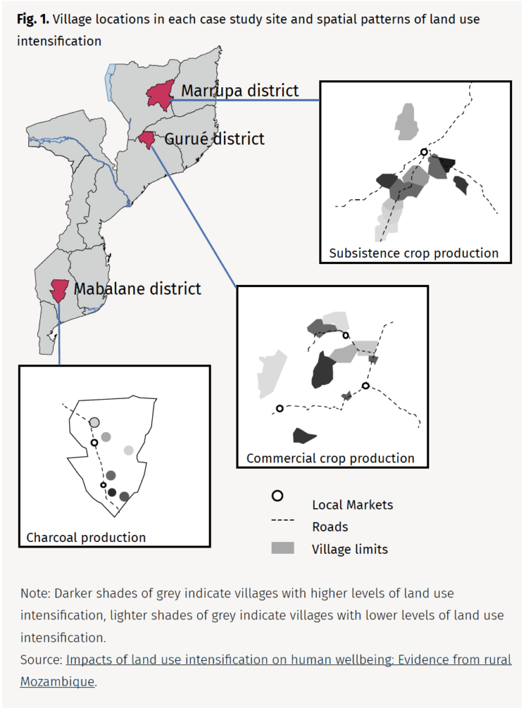 Village locations in each case study site and spatial patterns of land use intensification
