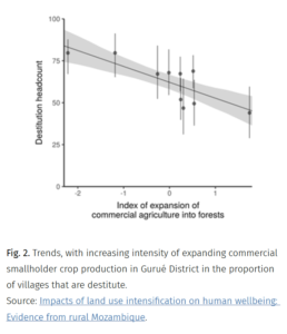 Trends, with increasing intensity of expanding commercial smallholder crop production in Gurué District in the proportion of villages that are destitute.