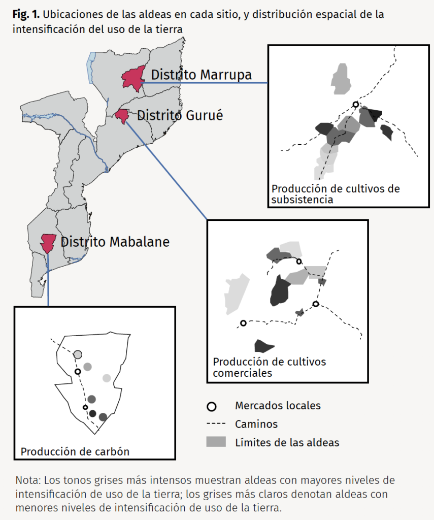 mozambique uso de la tierra